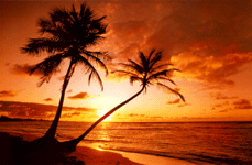 Coucher de soleil sur la plage